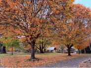 Entering Fall