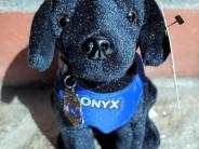 Plush K9 Onyx Front Plush K9 Onyx Front
