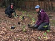Pollinator Planting at Ibach Park 4/23/20 Pollinator Planting at Ibach Park