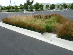 Infiltration Planter Infiltration Planter