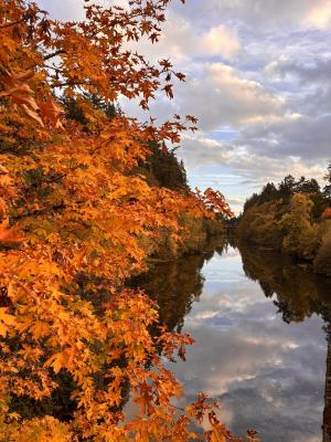 Autumn Reflections - Maree Ritter