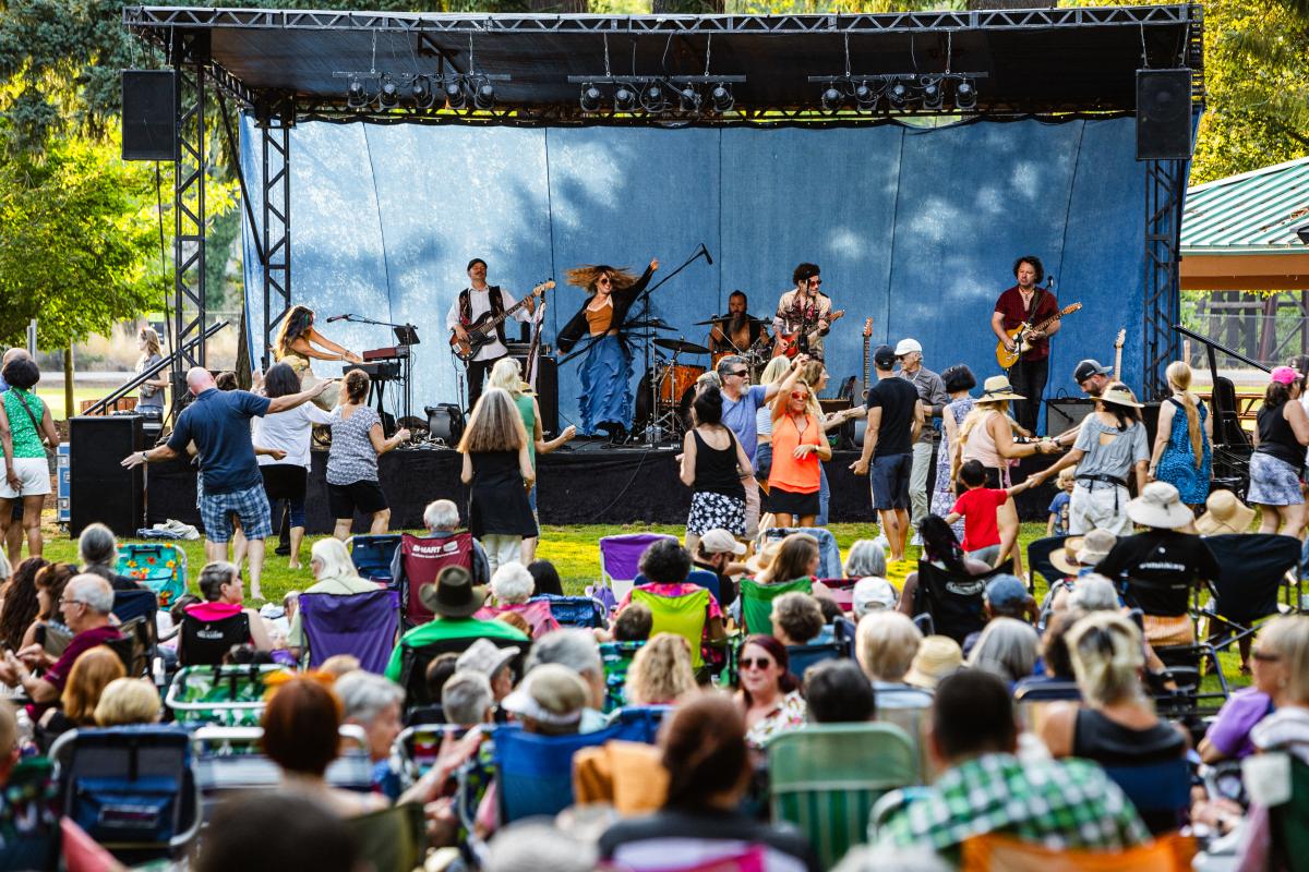 concert picture of people dancing at a concert